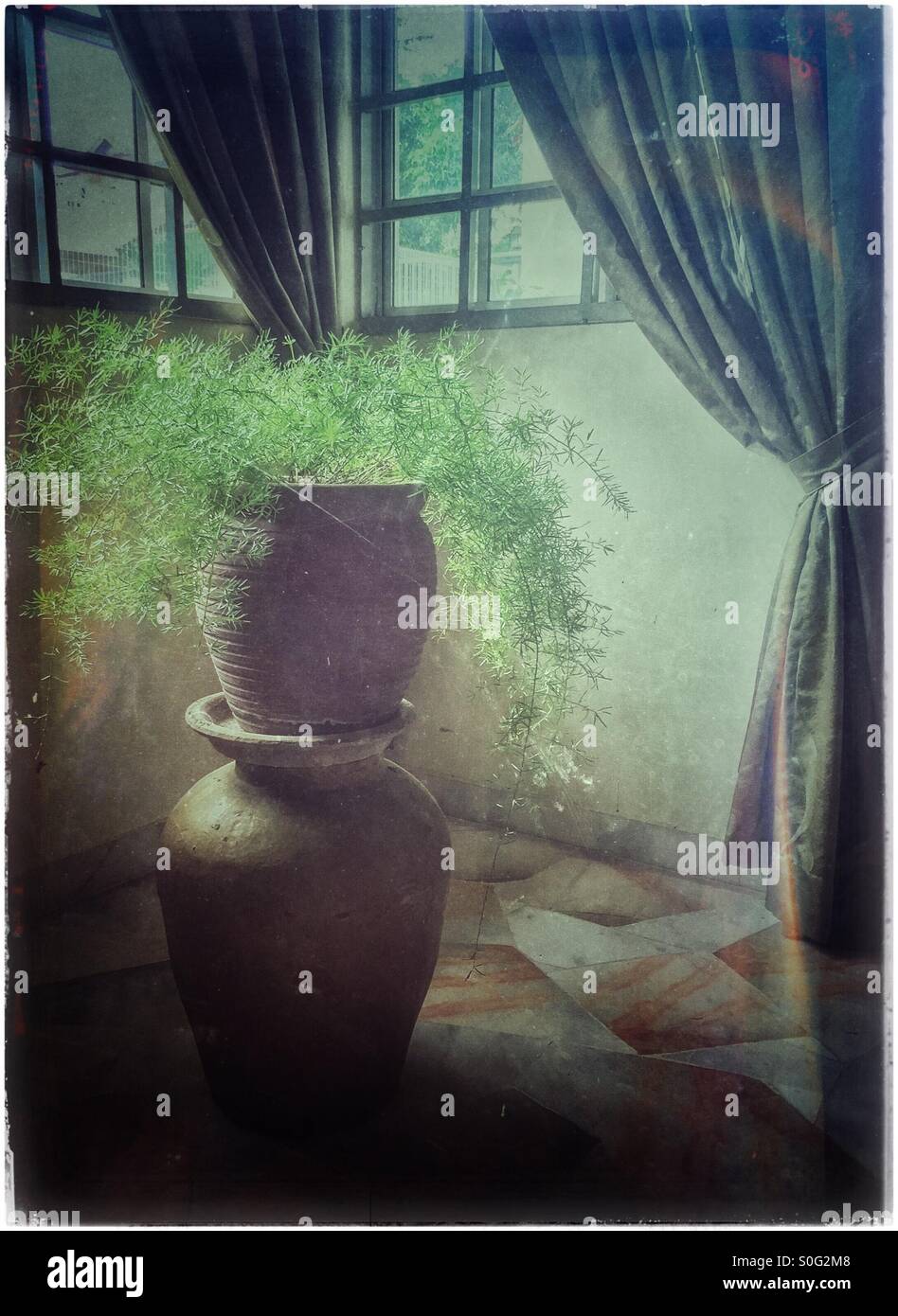 Home-Vase. - Smartphone-aufgenommenes Stockfoto