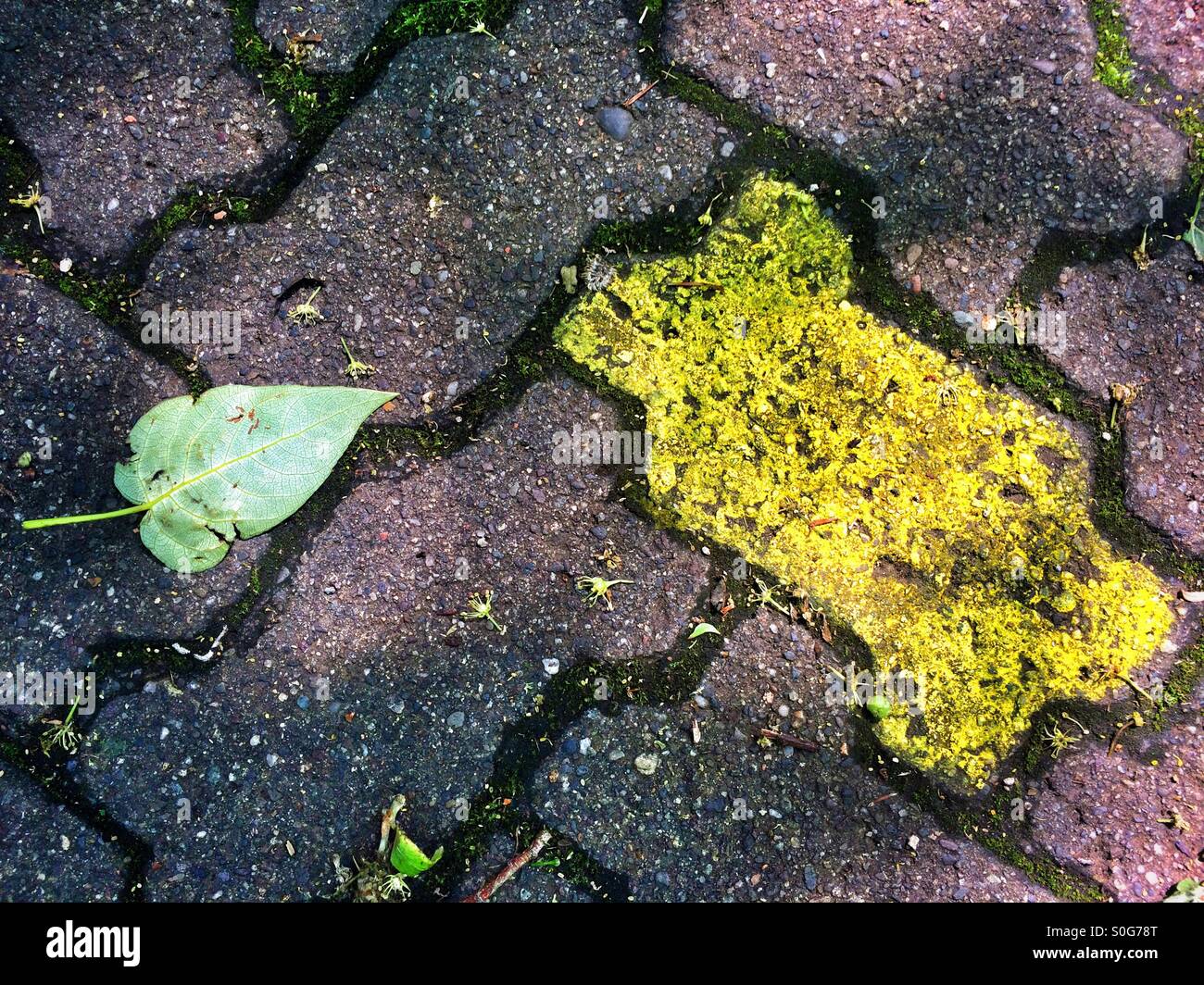 Gelbem Backstein auf der Straße Stockfoto