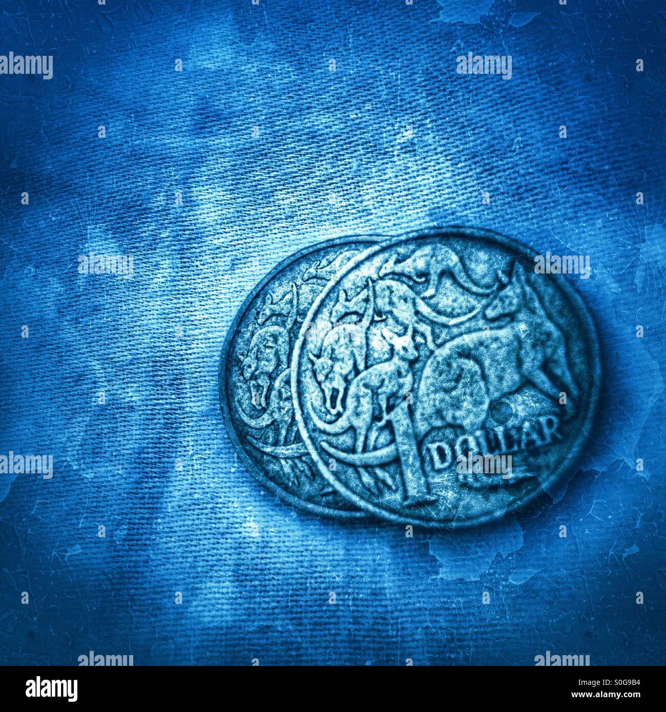 Zwei australische einen 1-Dollar-Münze auf blauem Grund. Stockfoto
