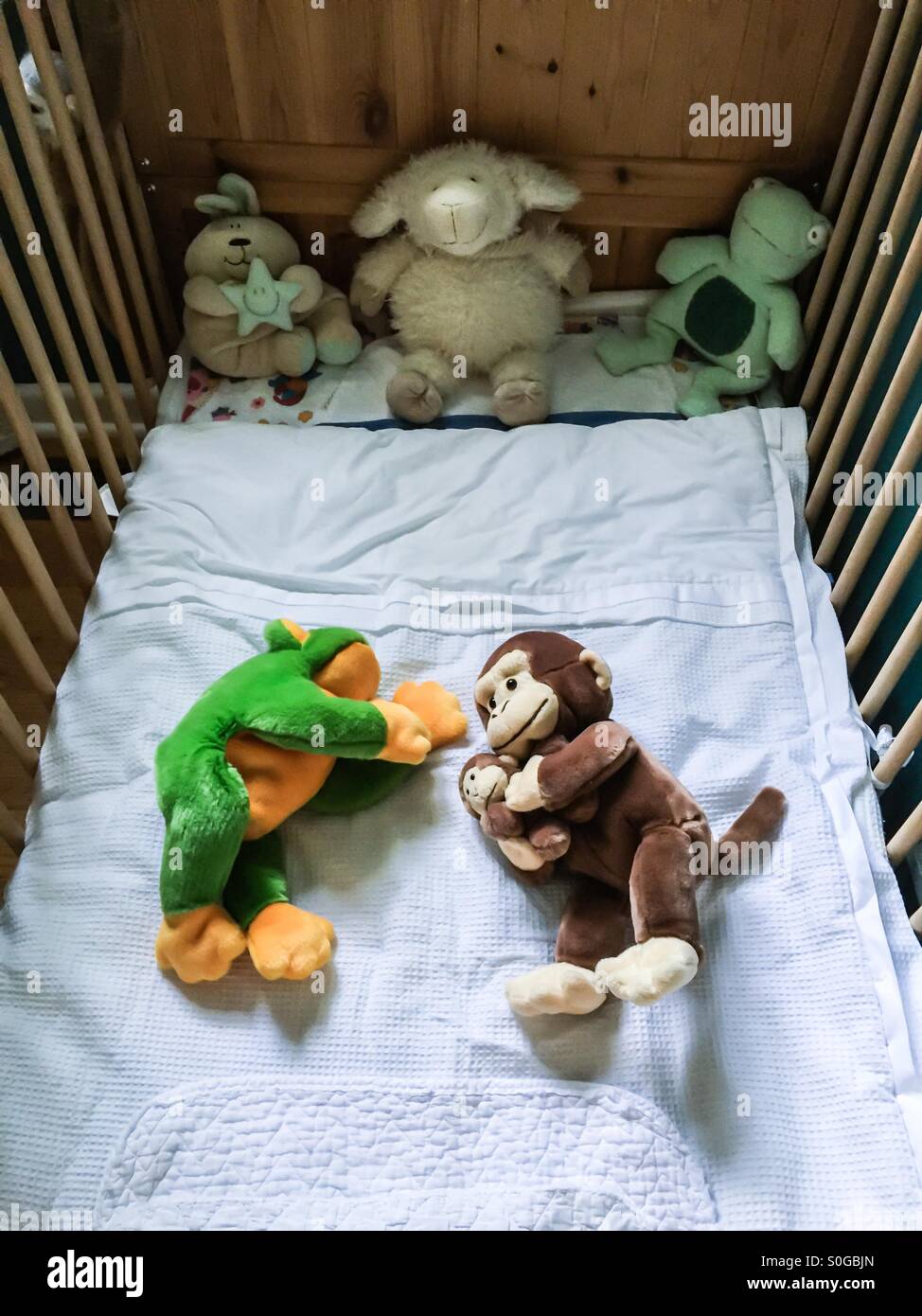 Kinderbett mit vielen Stofftieren, die auf den menschlichen Bewohner Ontario, Kanada, warten. Bereit für das Baby. Affe. Frosch. Teddy, Ich Bin'S. Verschiedene. - Smartphone-aufgenommenes Stockfoto