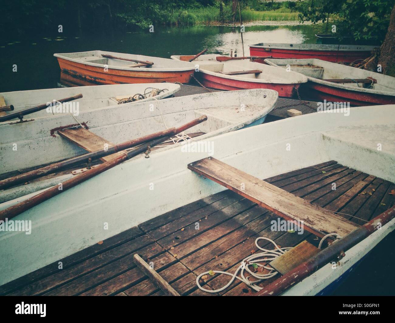 Ruderboote zu mieten in Küstrinchen, Lychen, Brandenburg - Smartphone-aufgenommenes Stockfoto