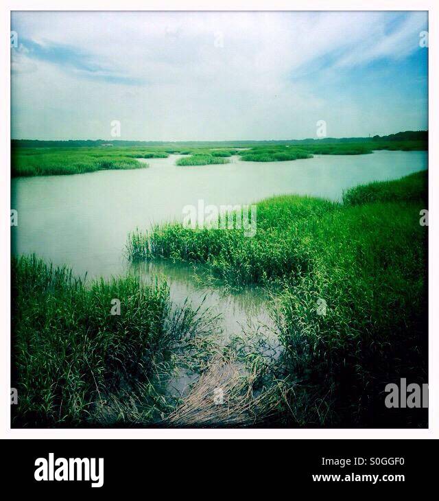 Wasserstraße bei Flut, Sumpfland Stockfoto