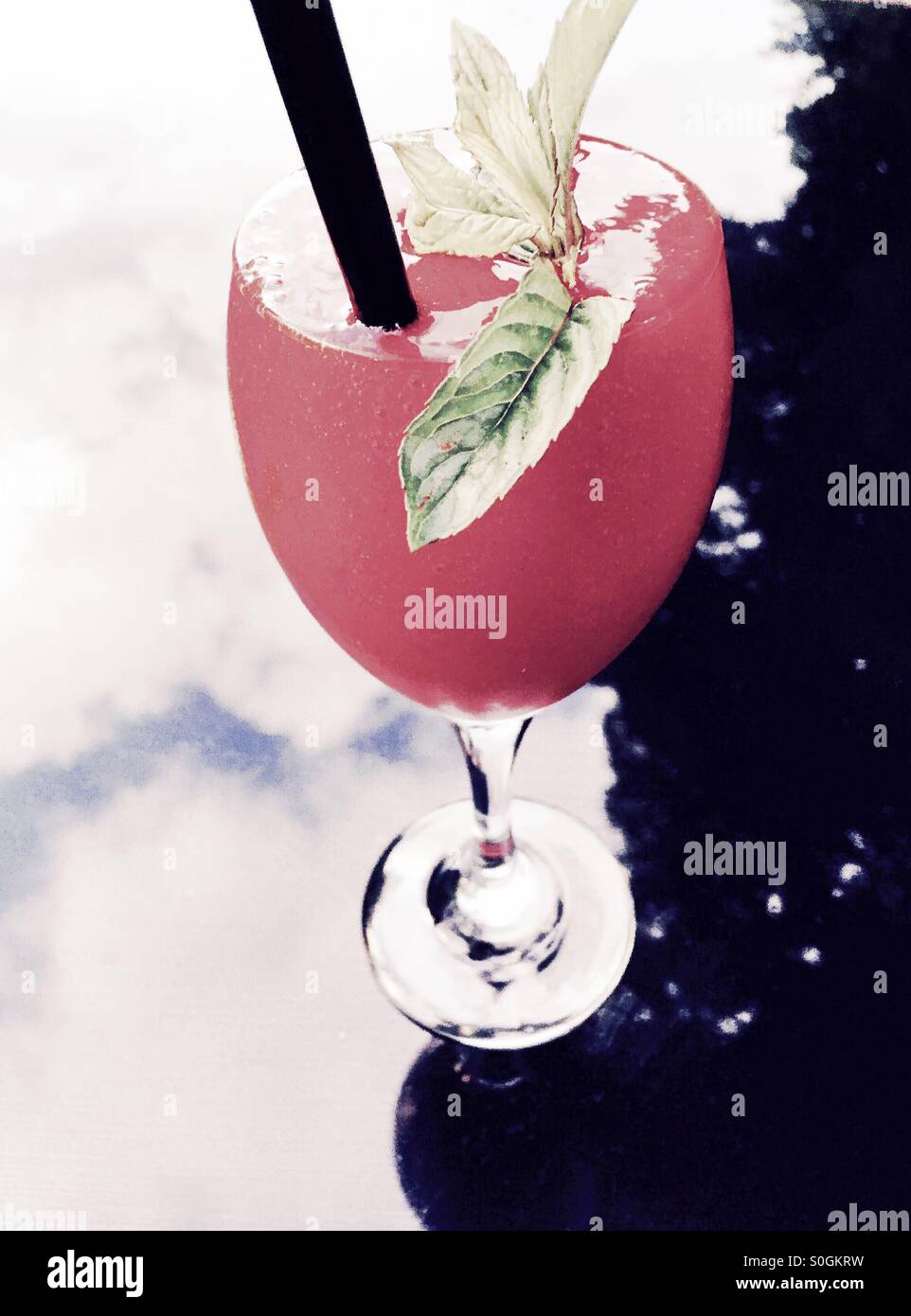 Gefrorene margaritas -Fotos und -Bildmaterial in hoher Auflösung – Alamy