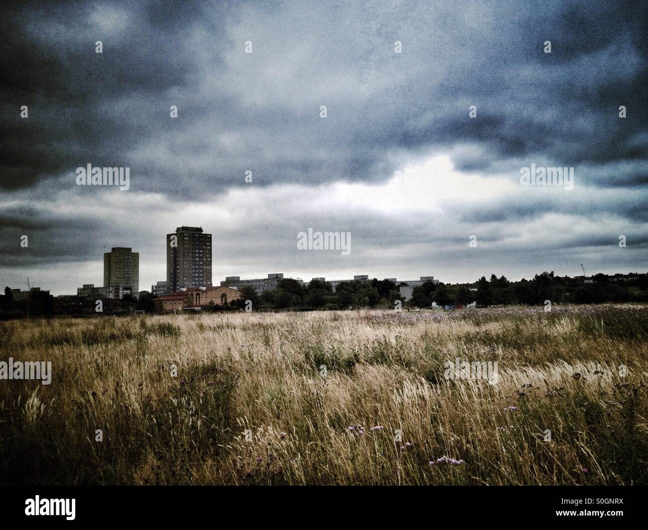 Herrschaft Recreation Ground in Tottenham London mit Broadwater Landgut im Hintergrund Stockfoto