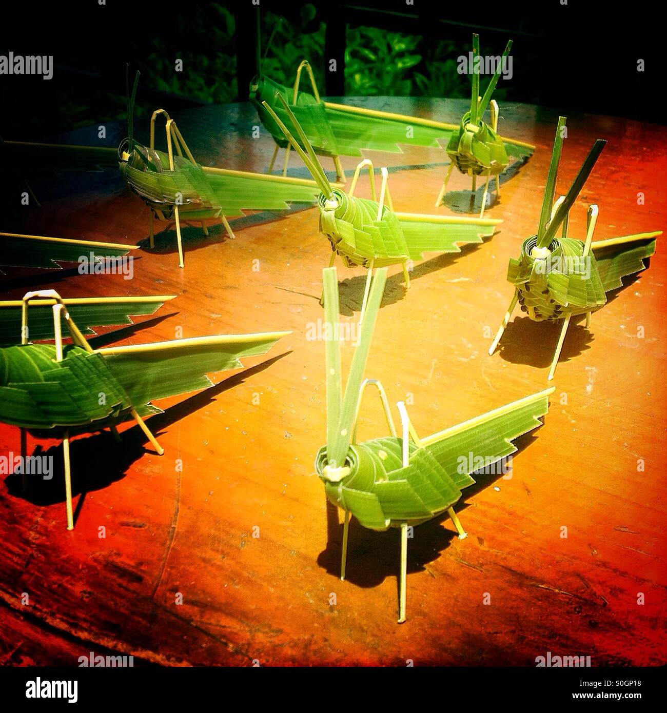 Stroh Heuschrecken zu verkaufen in Coyoacán, Mexiko-Stadt, Mexiko Stockfoto