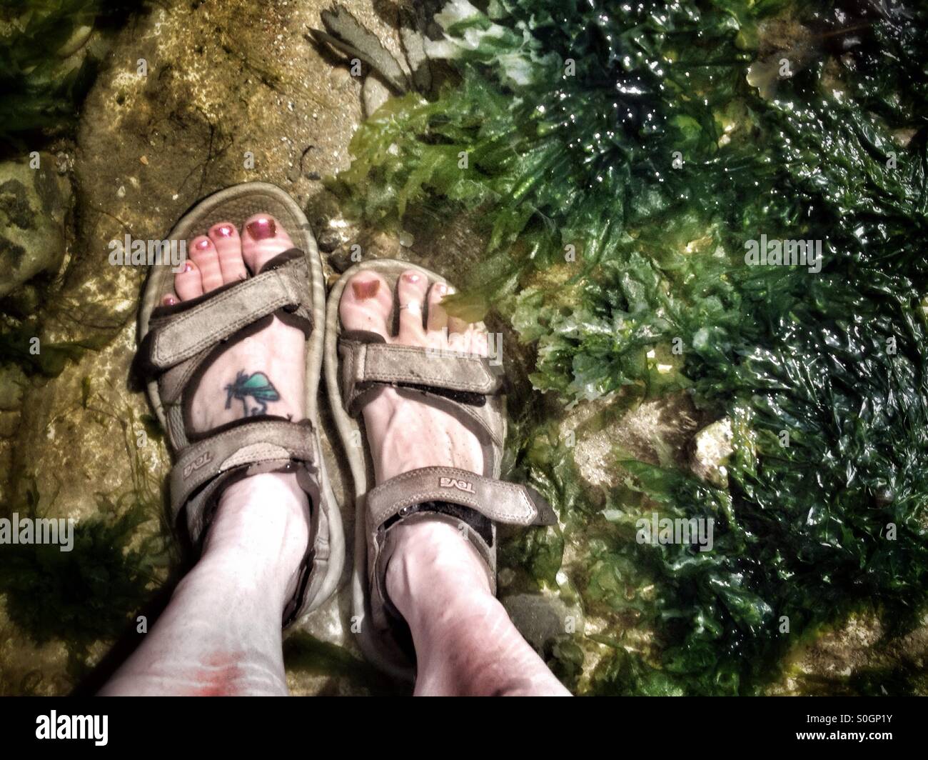 Frau die Füße in einem Rock Pool am Meer Stockfoto