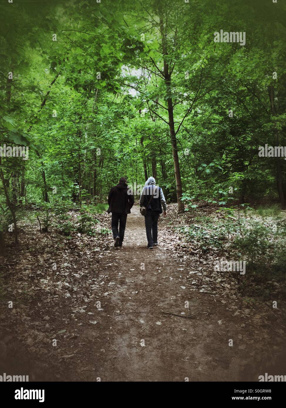 Zwei Männer im Wald Stockfoto