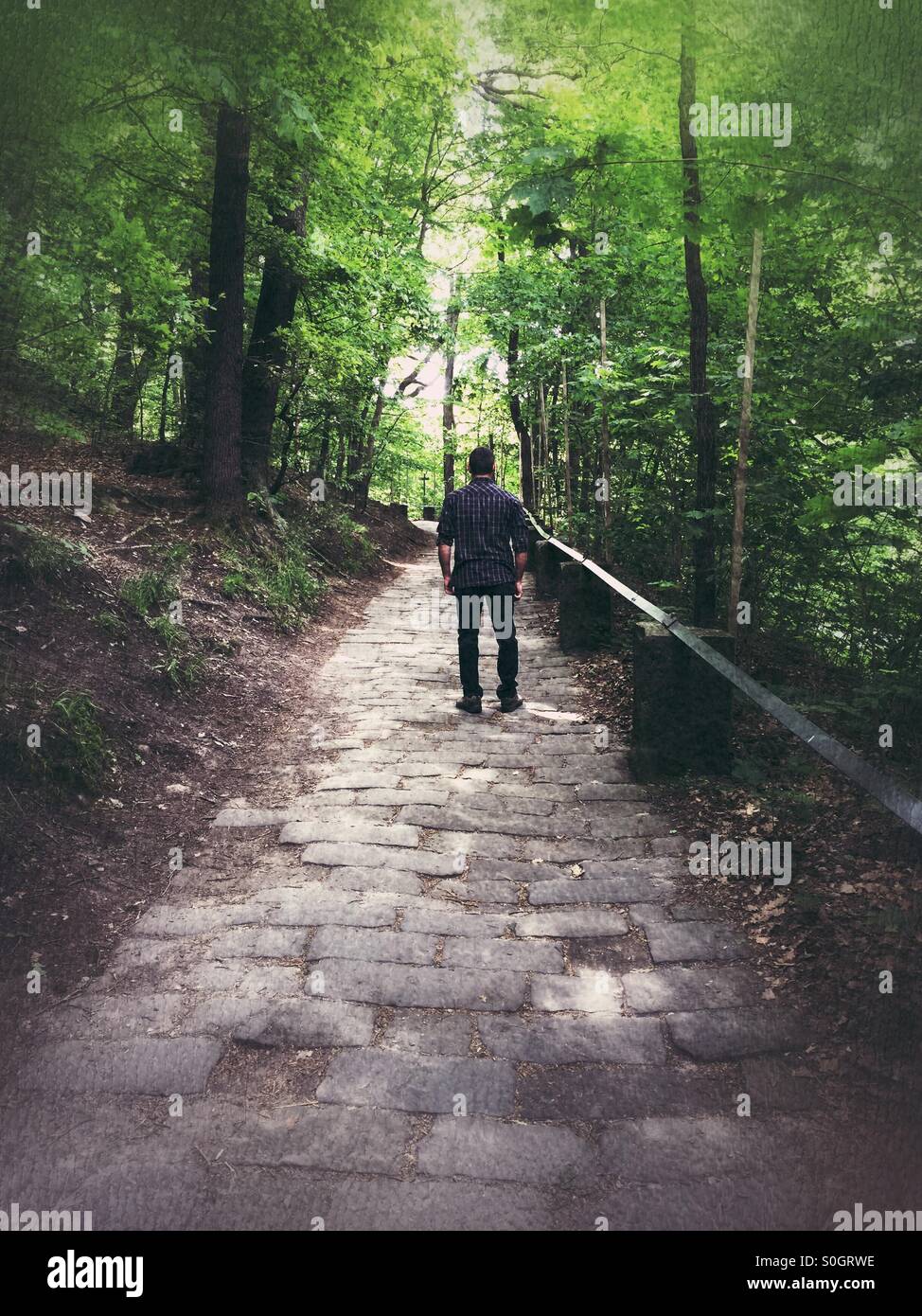 Mann im park Stockfoto