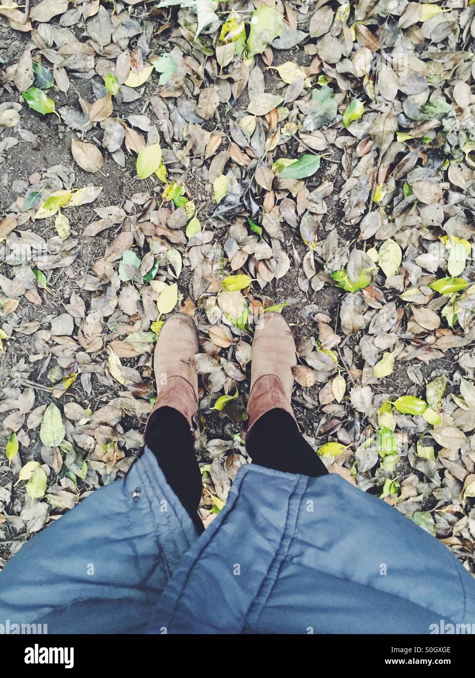 Stiefel in den Blättern Stockfoto