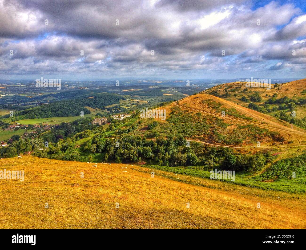 Die Malvern Hills im Juli Stockfoto