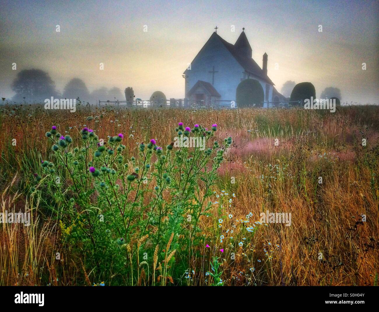 St.-Hubertus Kirche ist eine kleine Kirche auf einem Hügel in Idsworth, Hampshire an Wildblumen, an einem nebligen Morgen umgeben Stockfoto