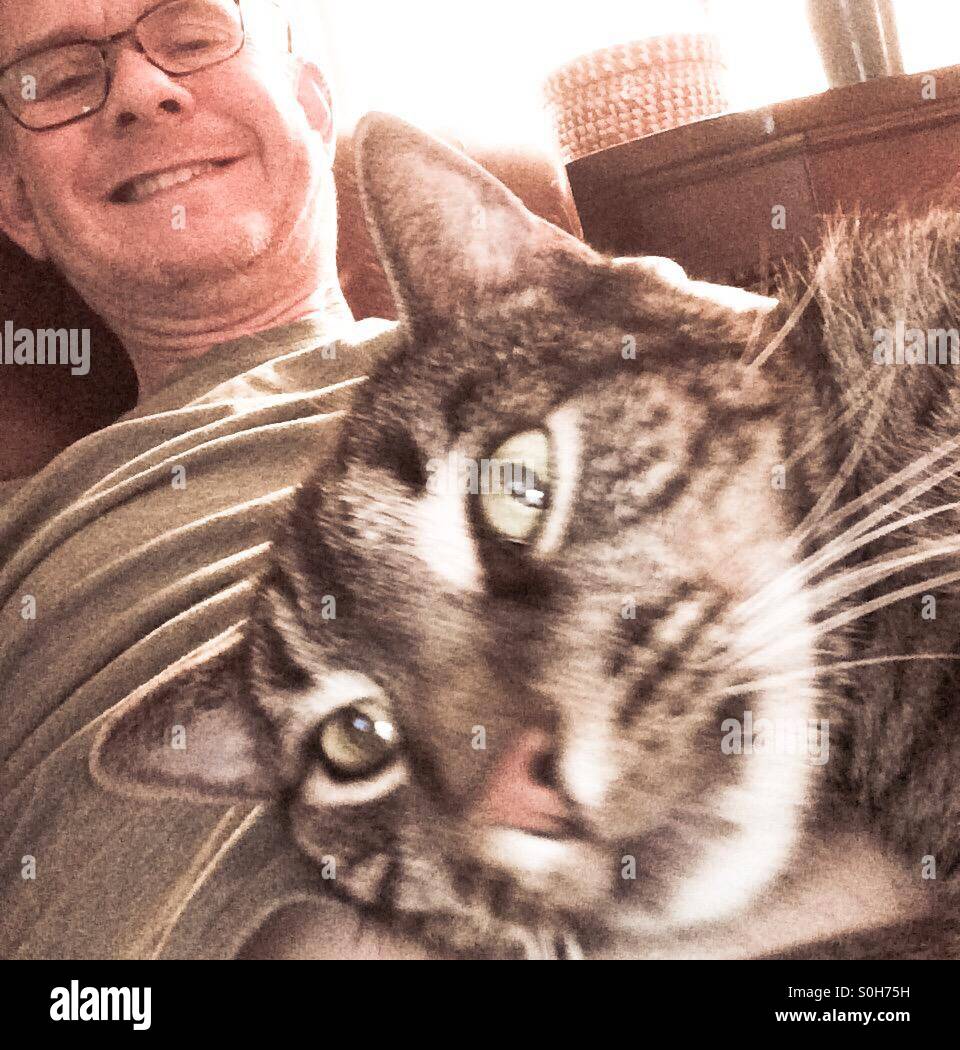 Mensch und Katze Stockfoto
