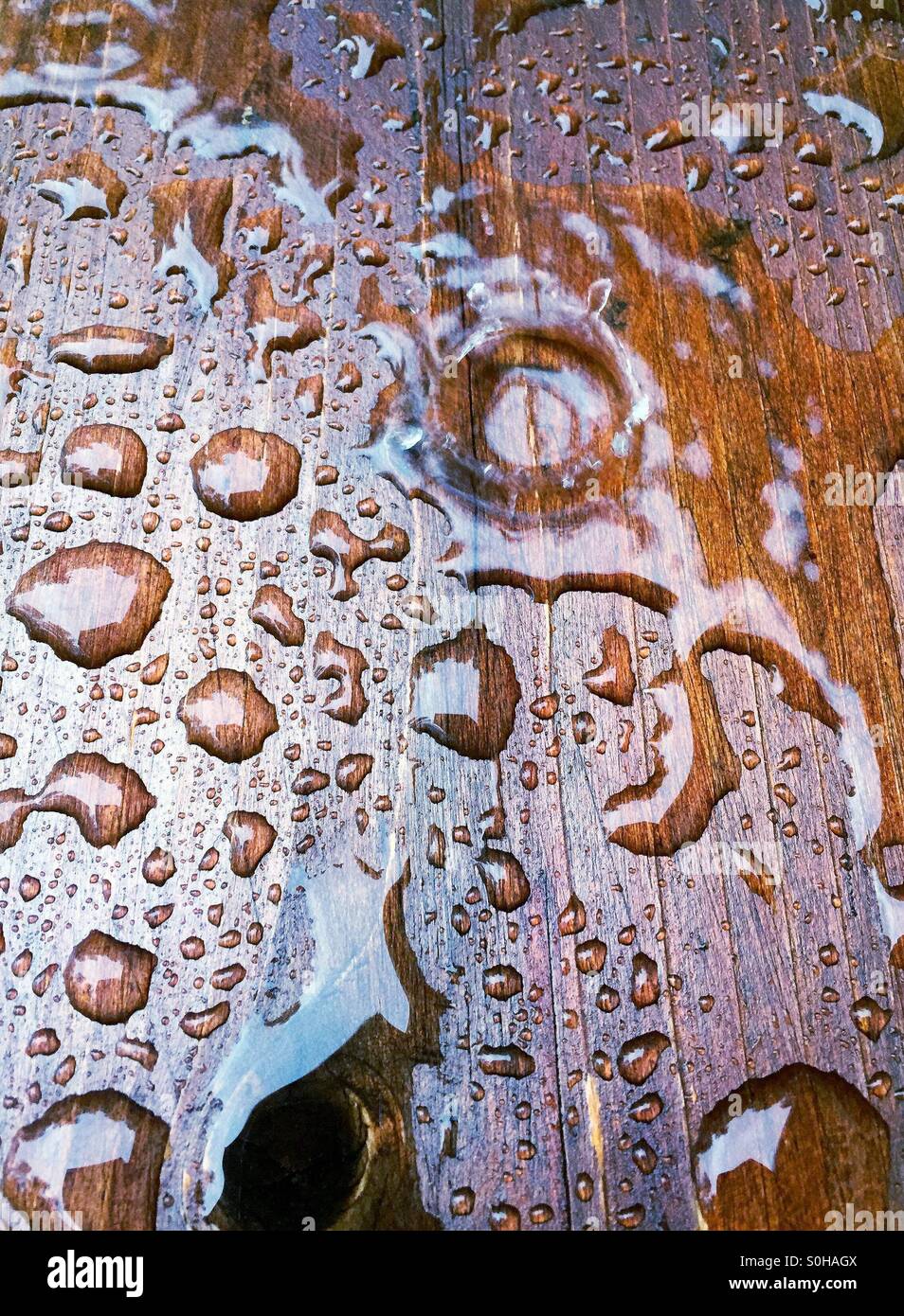 Regentropfen auf Holz Stockfoto