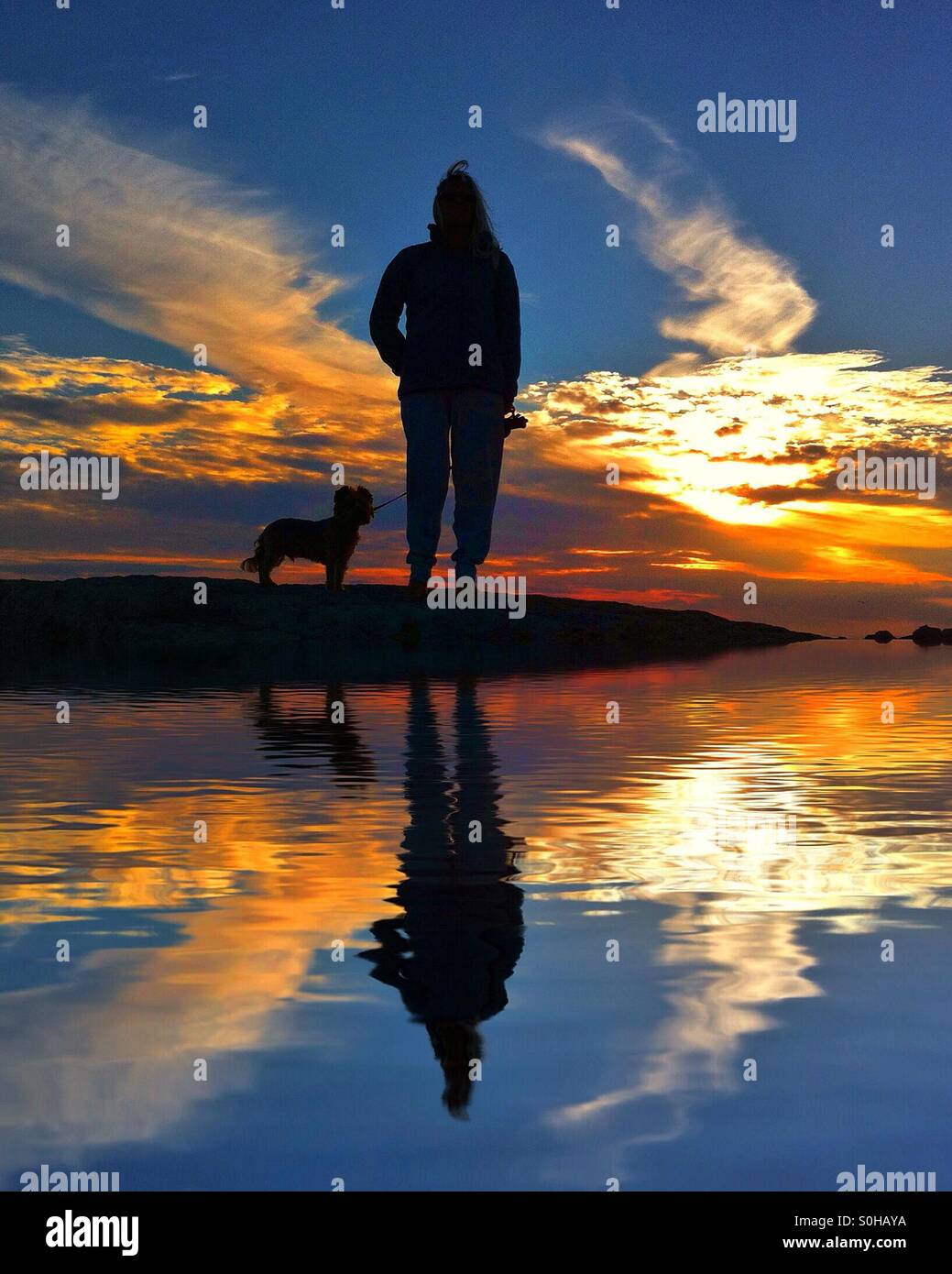 Sonnenuntergang Hund Spaziergänge Stockfoto