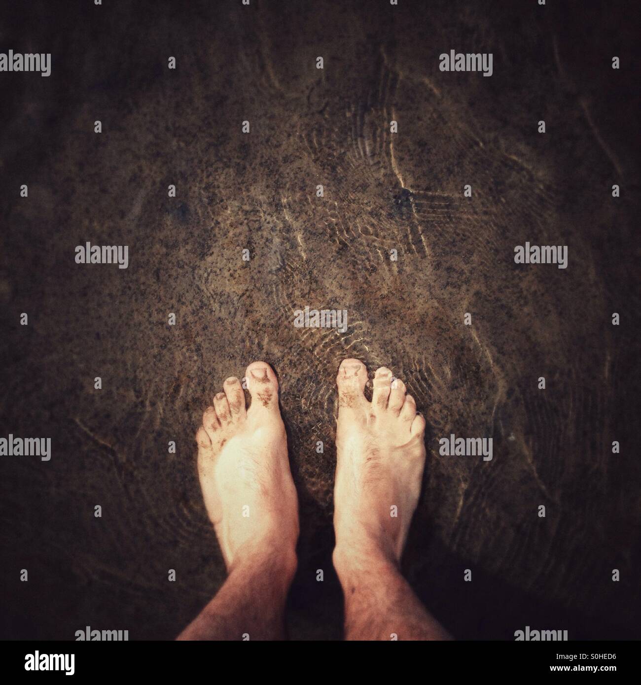 Füße Selfie im seichten Wasser von der Gezeitenzone der Nordsee Stockfoto