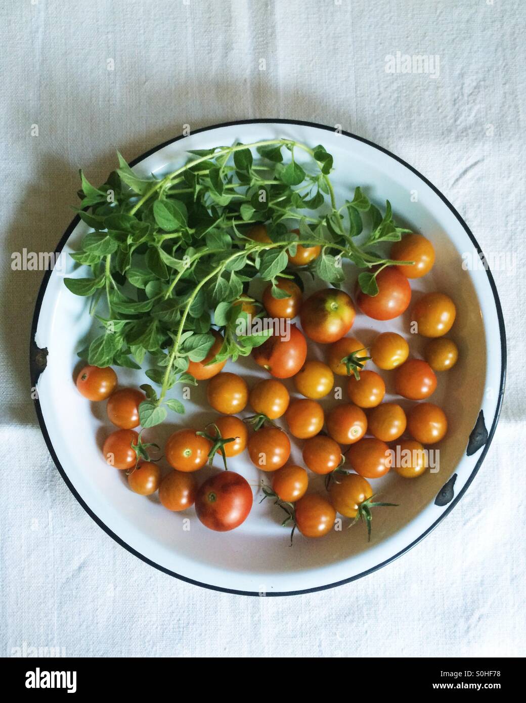 Tomaten und Kräuter aus einem städtischen Garten zu ernten. Stockfoto