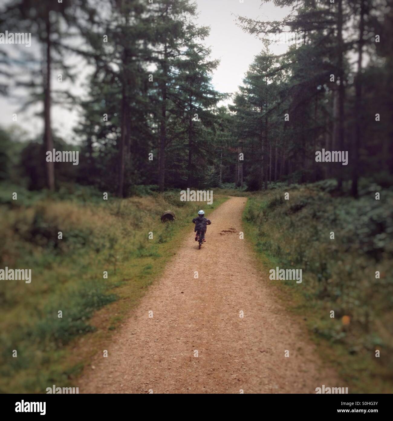 Sechs Jahre alter Junge mit dem Fahrrad durch den Wald - Smartphone-aufgenommenes Stockfoto