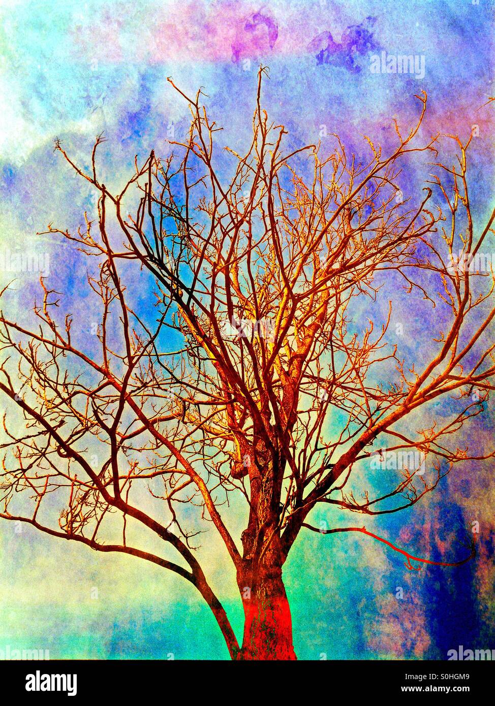 Natur unter Beschuss. - Smartphone-aufgenommenes Stockfoto