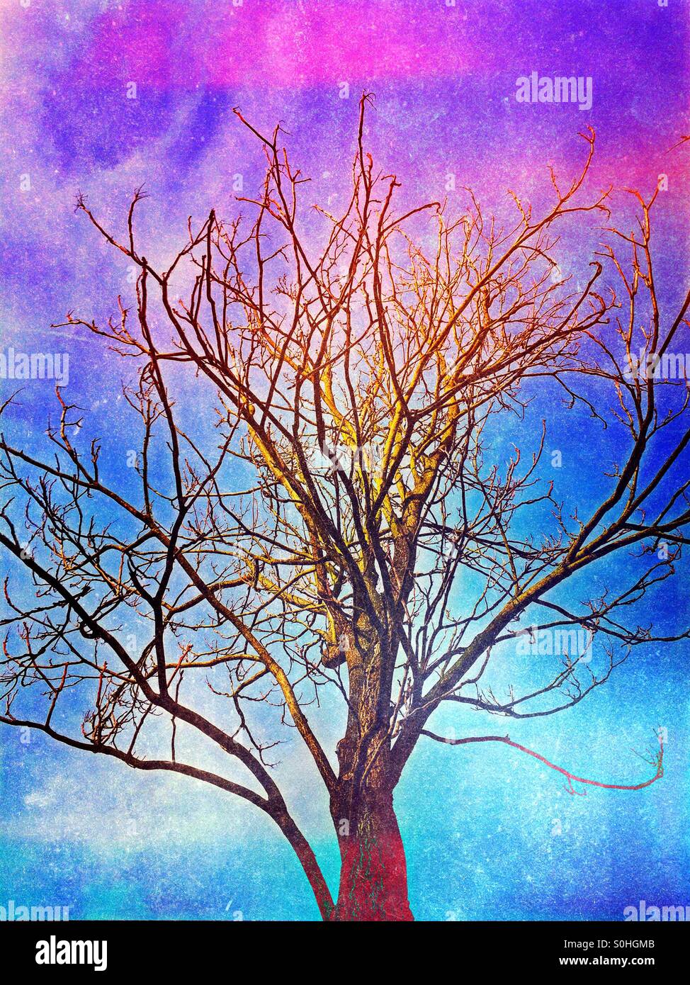 Verschmutzte Luft gefährden die Umwelt. - Smartphone-aufgenommenes Stockfoto