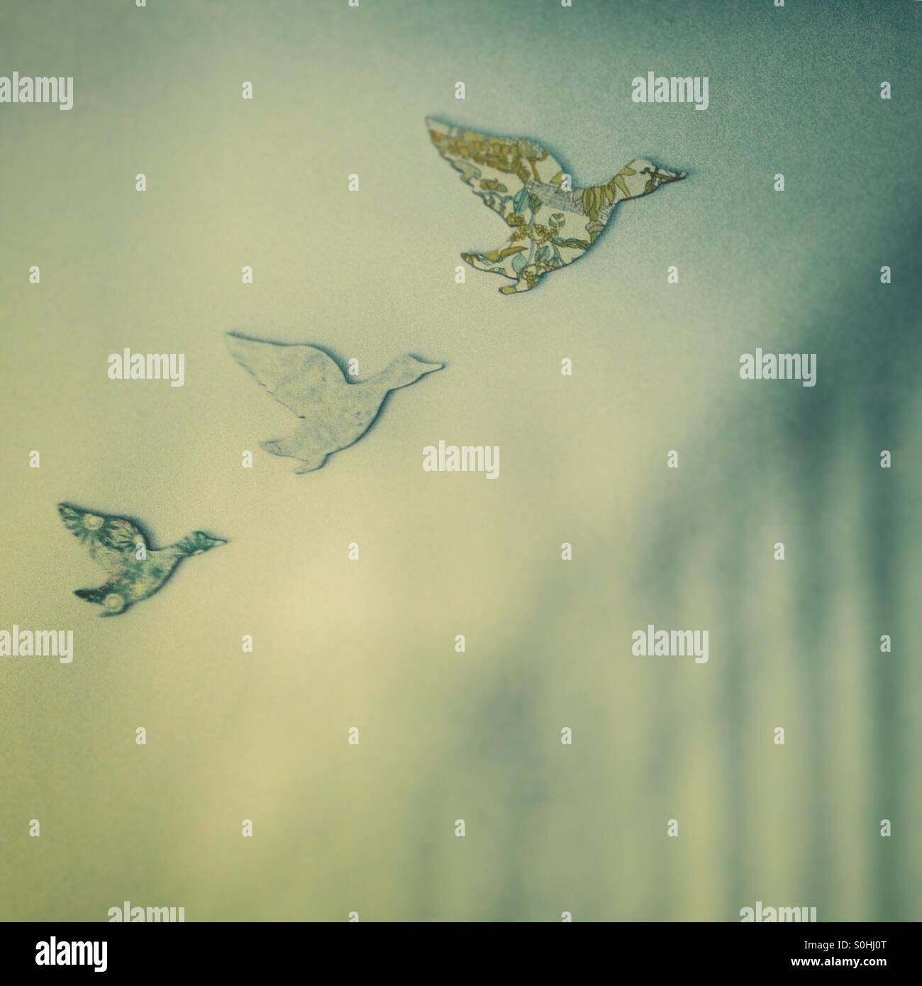 Drei Muster fliegen Enten auf einer blauen Wand Stockfoto
