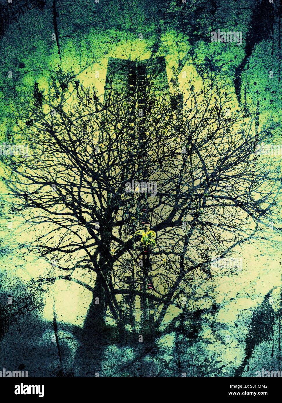 Natur Vs Beton - Smartphone-aufgenommenes Stockfoto