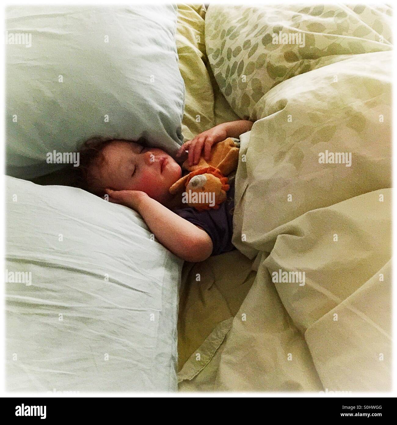 Kleinkind in einem großen Bett schlafen Stockfoto