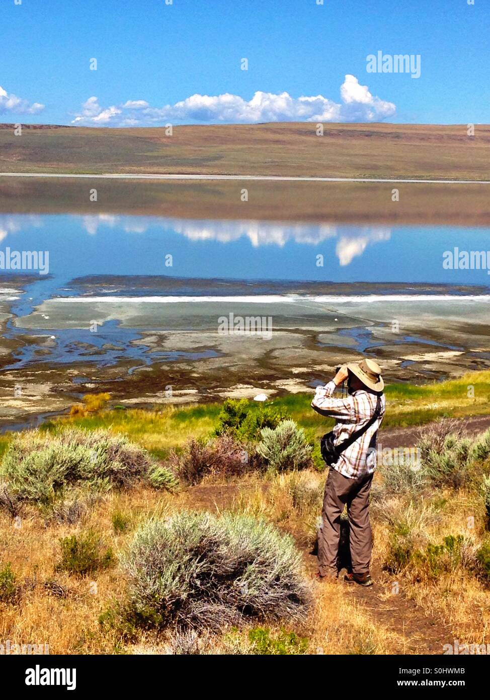 Mann beobachten Vögel und Wildtiere an einem ruhigen See Stockfoto