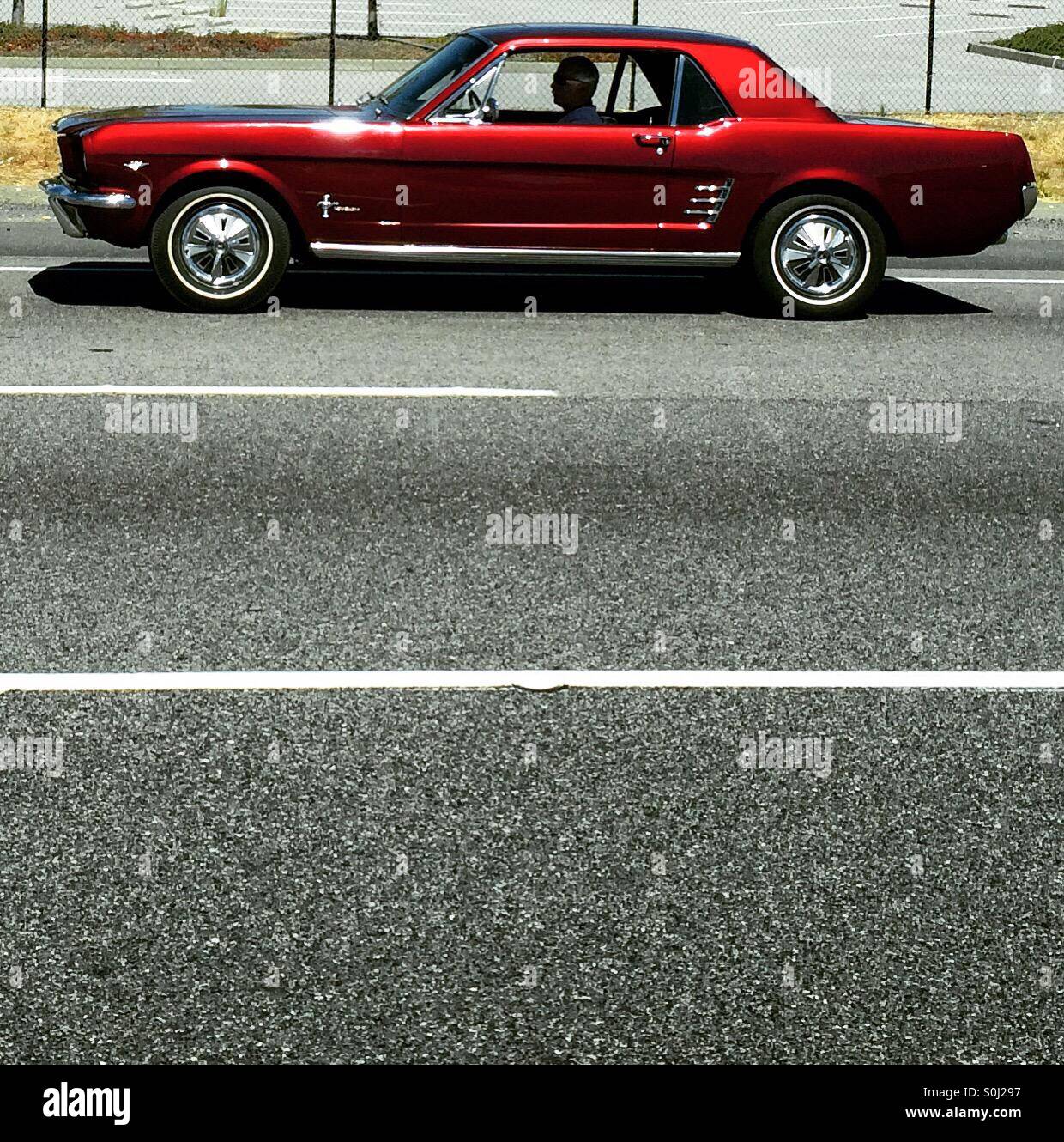 Roten Mustang mit Pflaster Linien Stockfoto