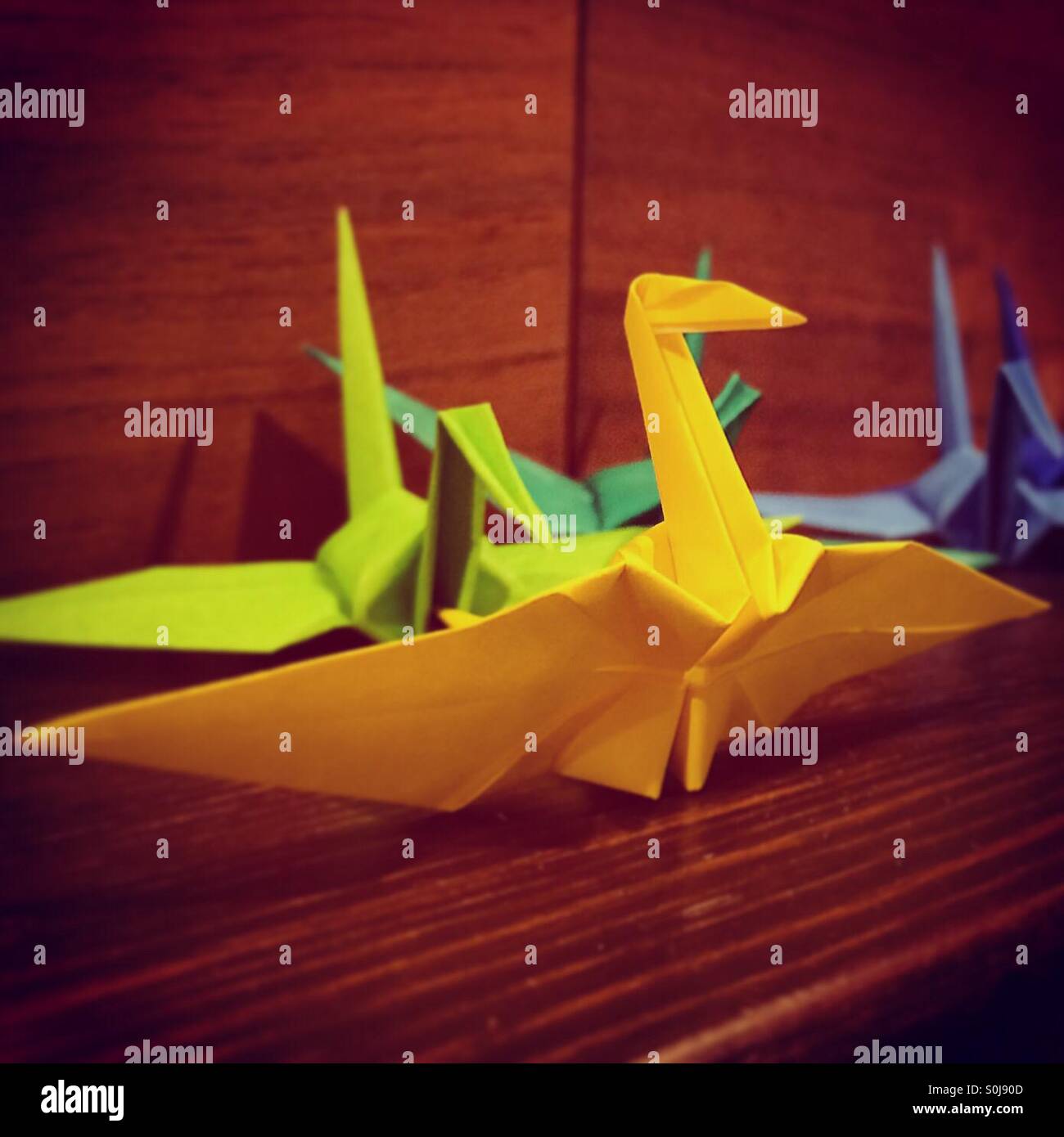 Origami-Vögel mit farbigem Papier gemacht Stockfoto