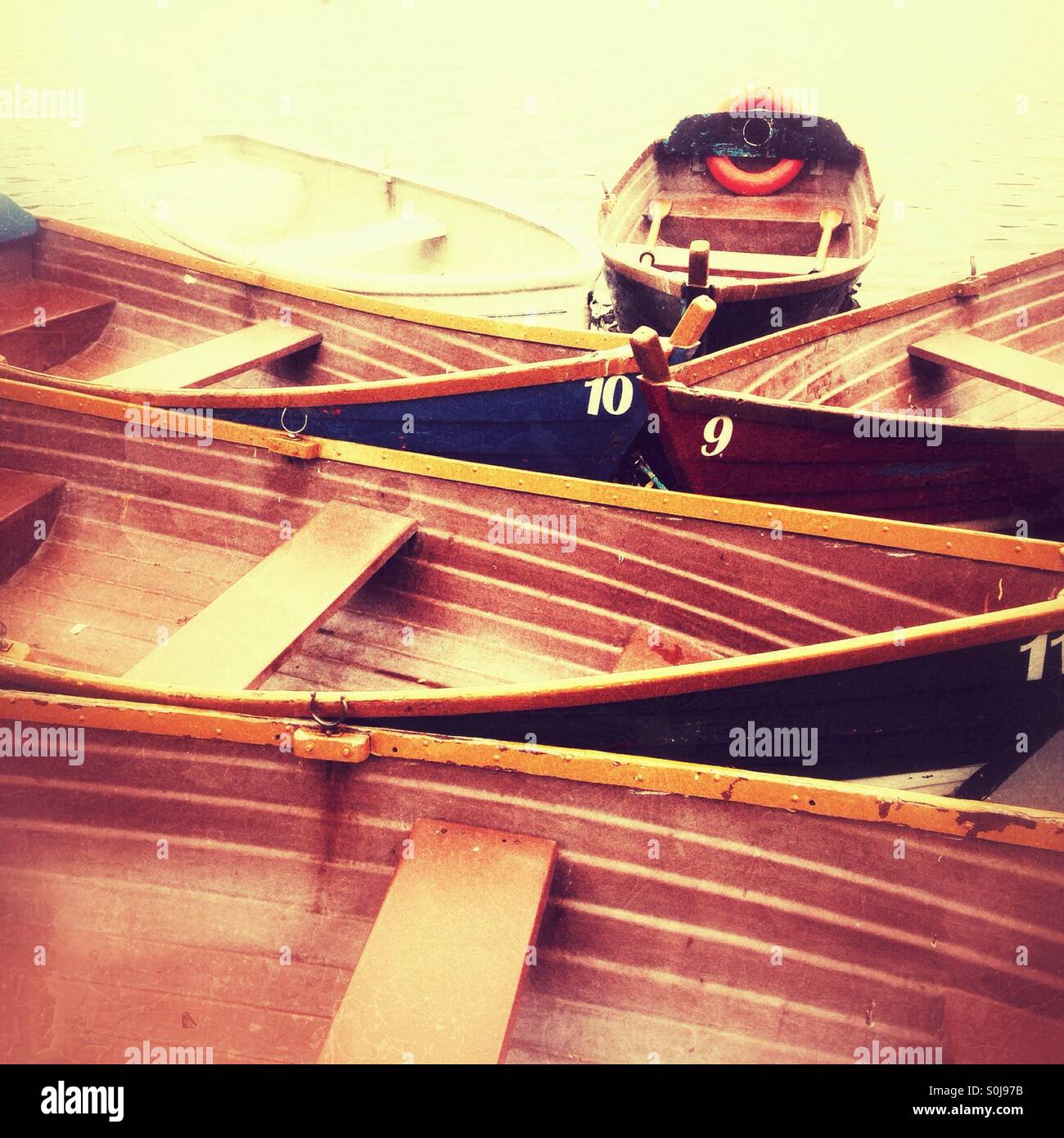 Ruderboote, See Petersfield, Hampshire, England, Vereinigtes Königreich. - Smartphone-aufgenommenes Stockfoto