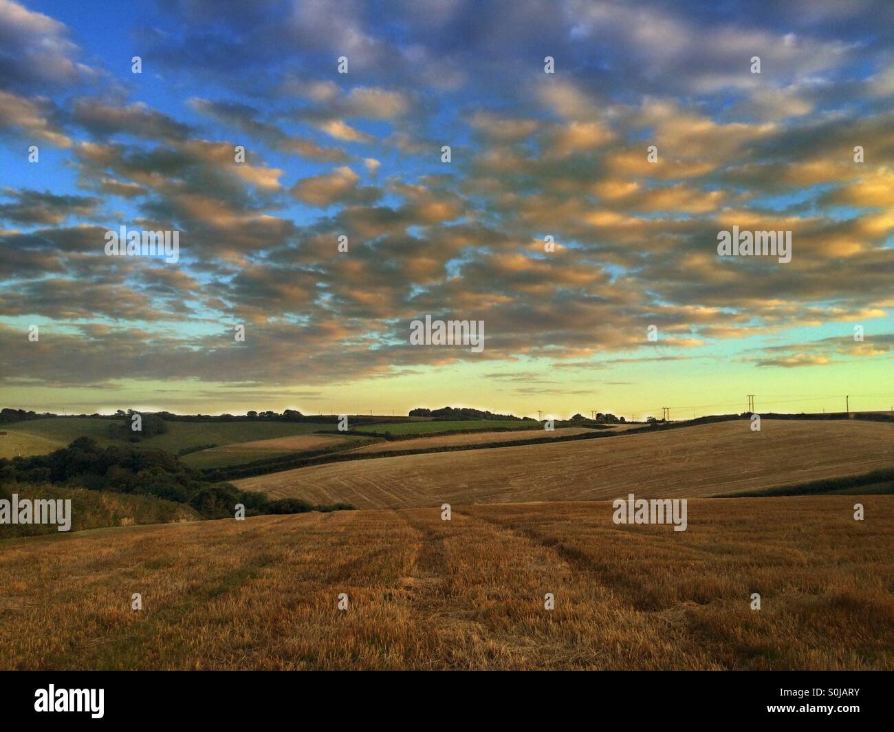 Blick auf den Sonnenuntergang über geernteten Felder Stockfoto