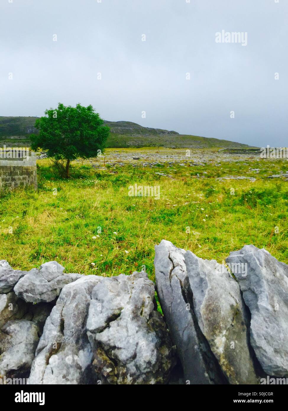 Der Burren, Irland Stockfoto