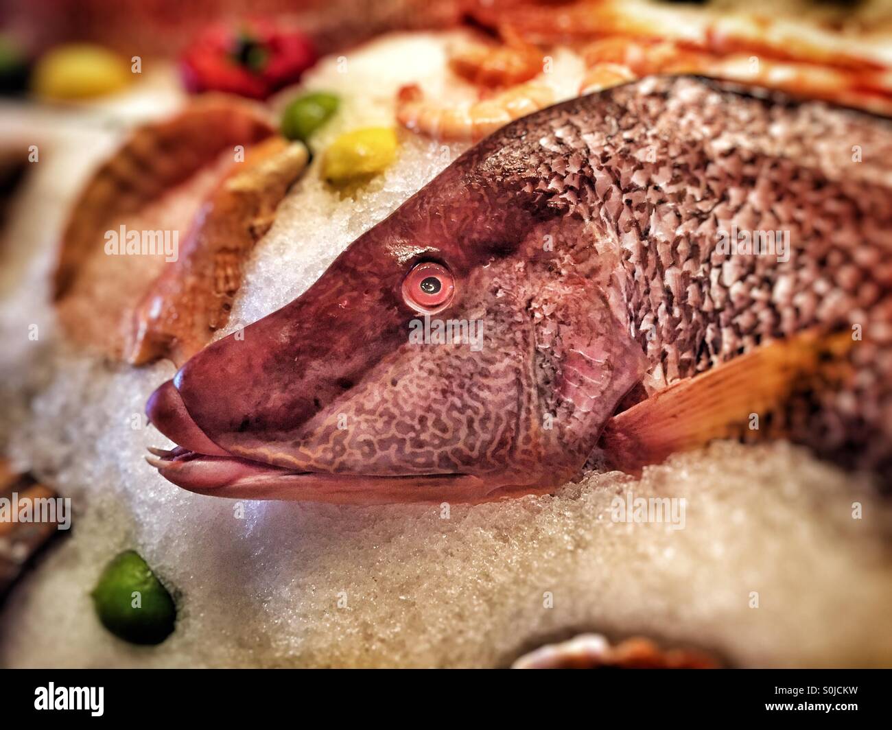 Rosa Seefisch auf Eis umgeben von anderen Meer Essen-Abendessen jemand? Stockfoto