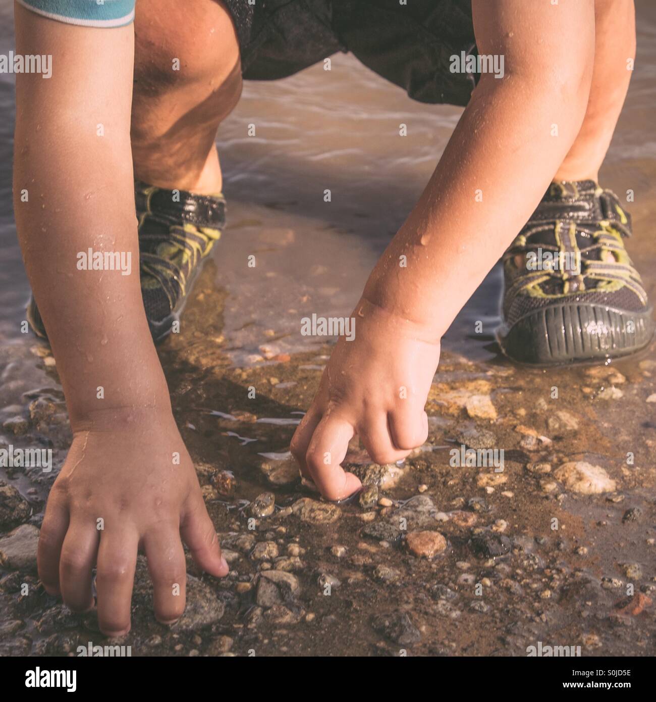 Kleinkindes Hände hob Felsen im seichten Wasser Stockfoto