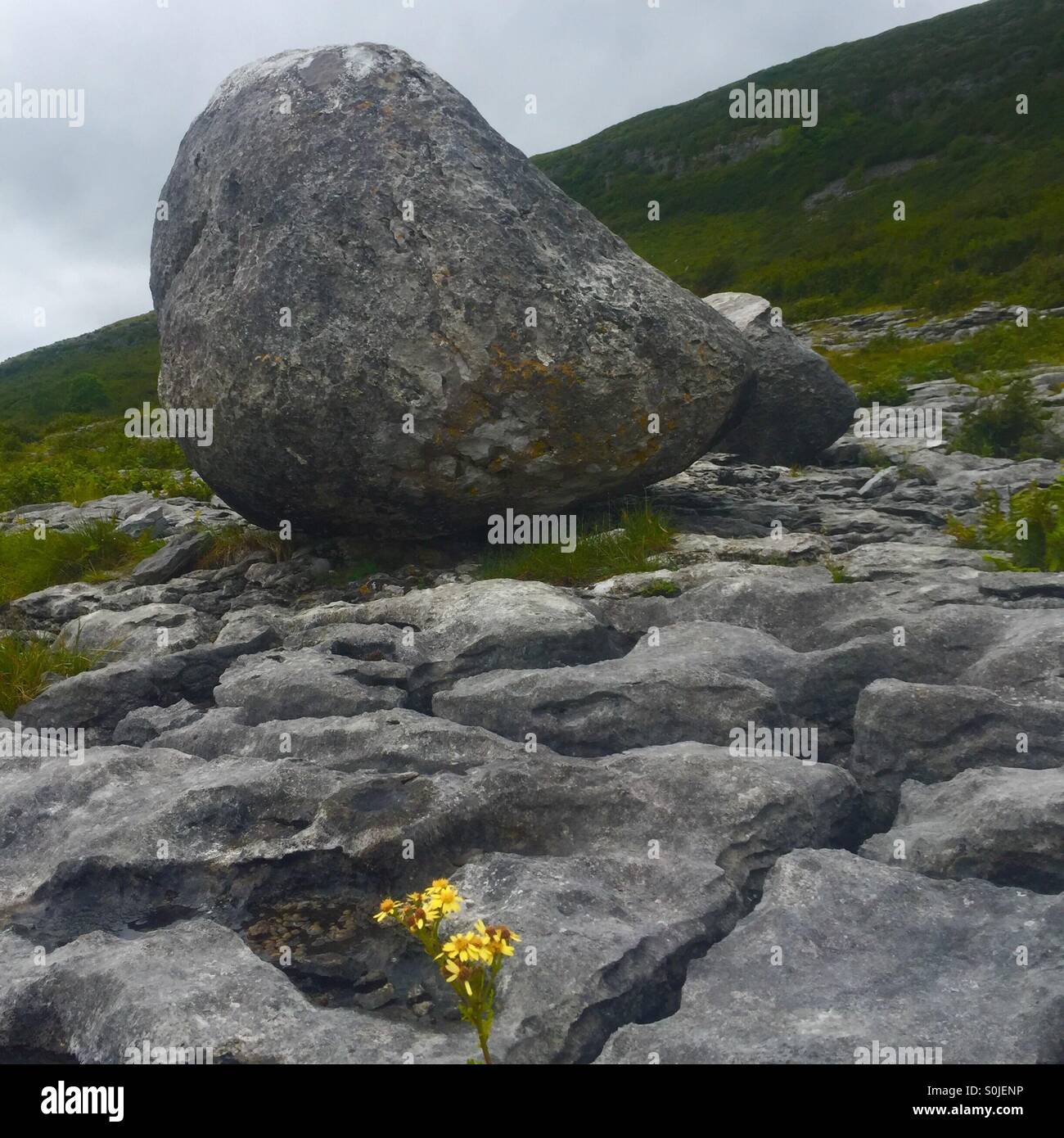 Der Burren, Irland Stockfoto