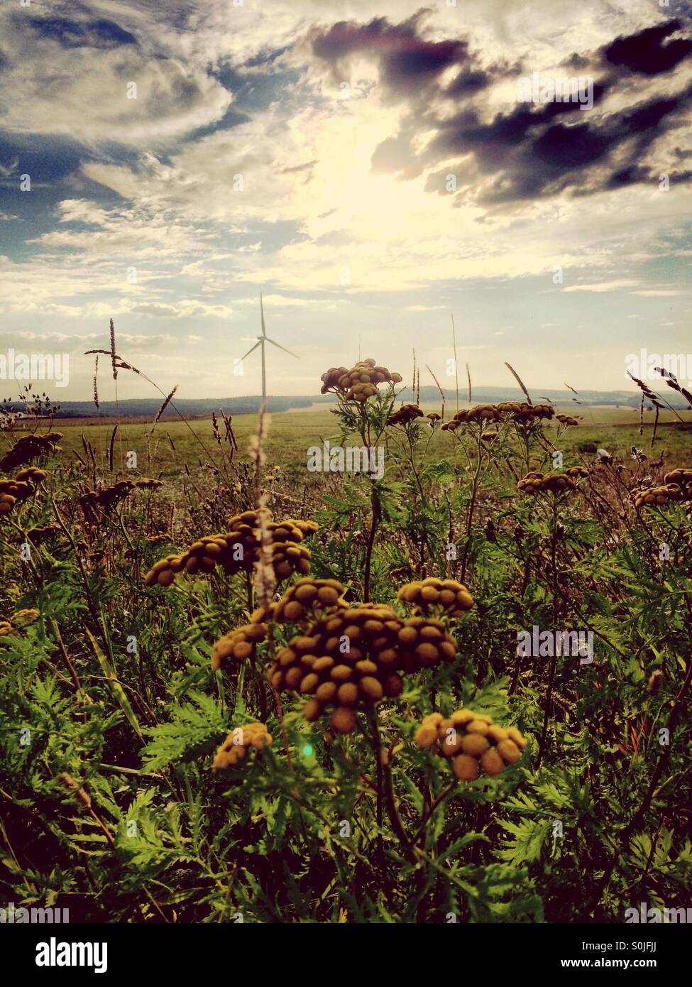 Dramatische Wolken Stockfoto