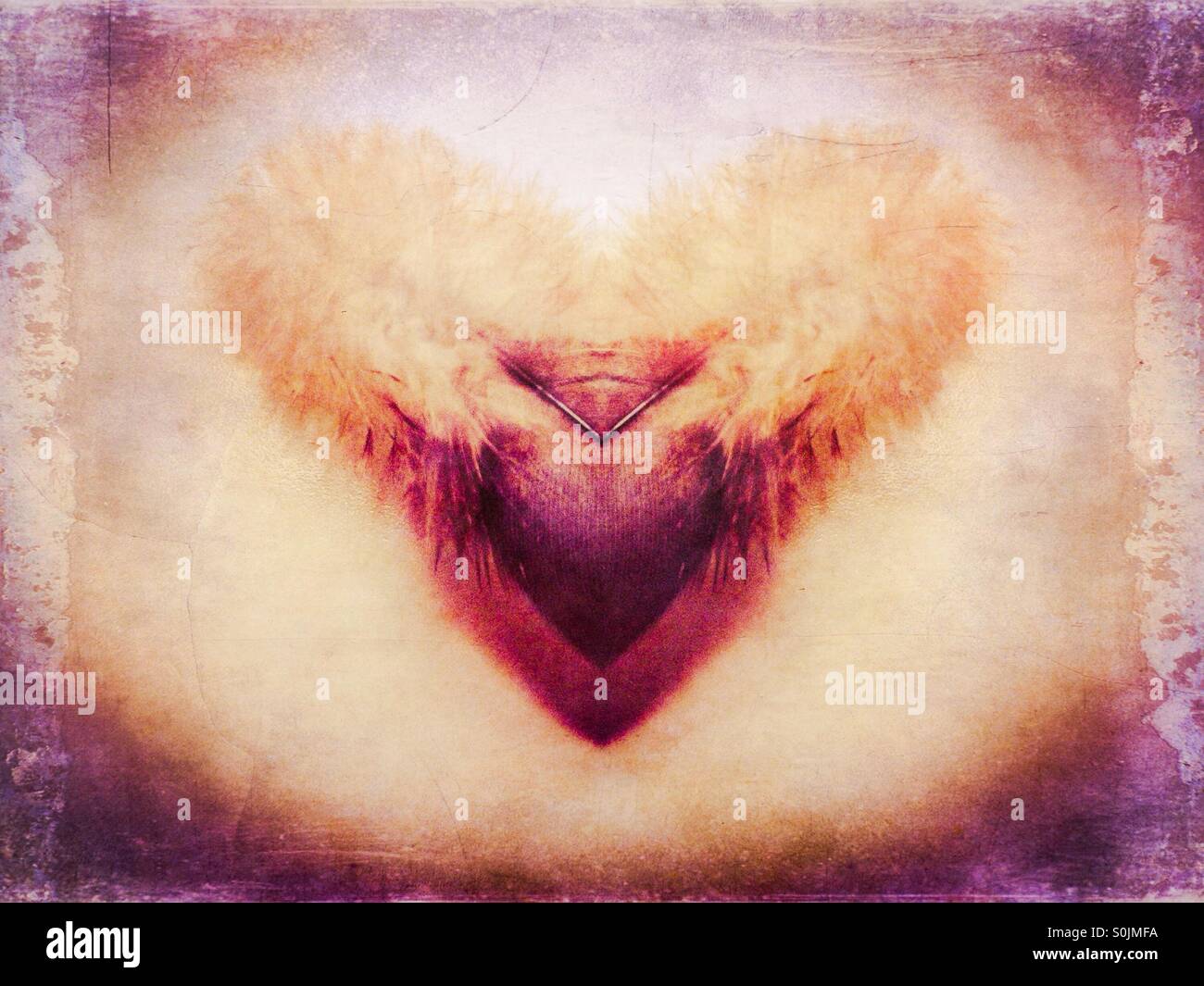 Herzförmige abstrakte Form von Foto-Manipulation einer Möwe Feder Stockfoto