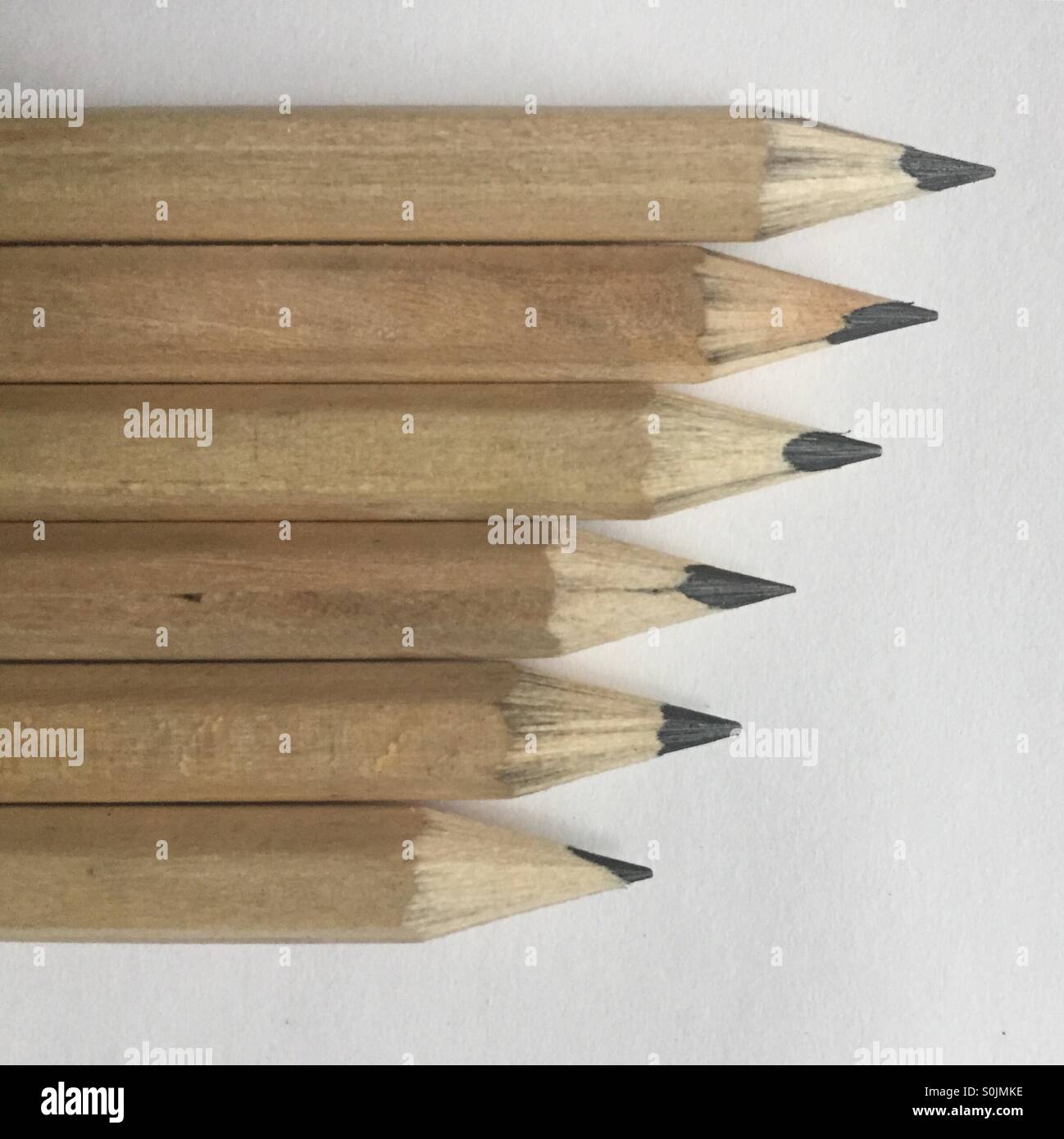 Sechs Bleistifte dicht beieinander Stockfoto