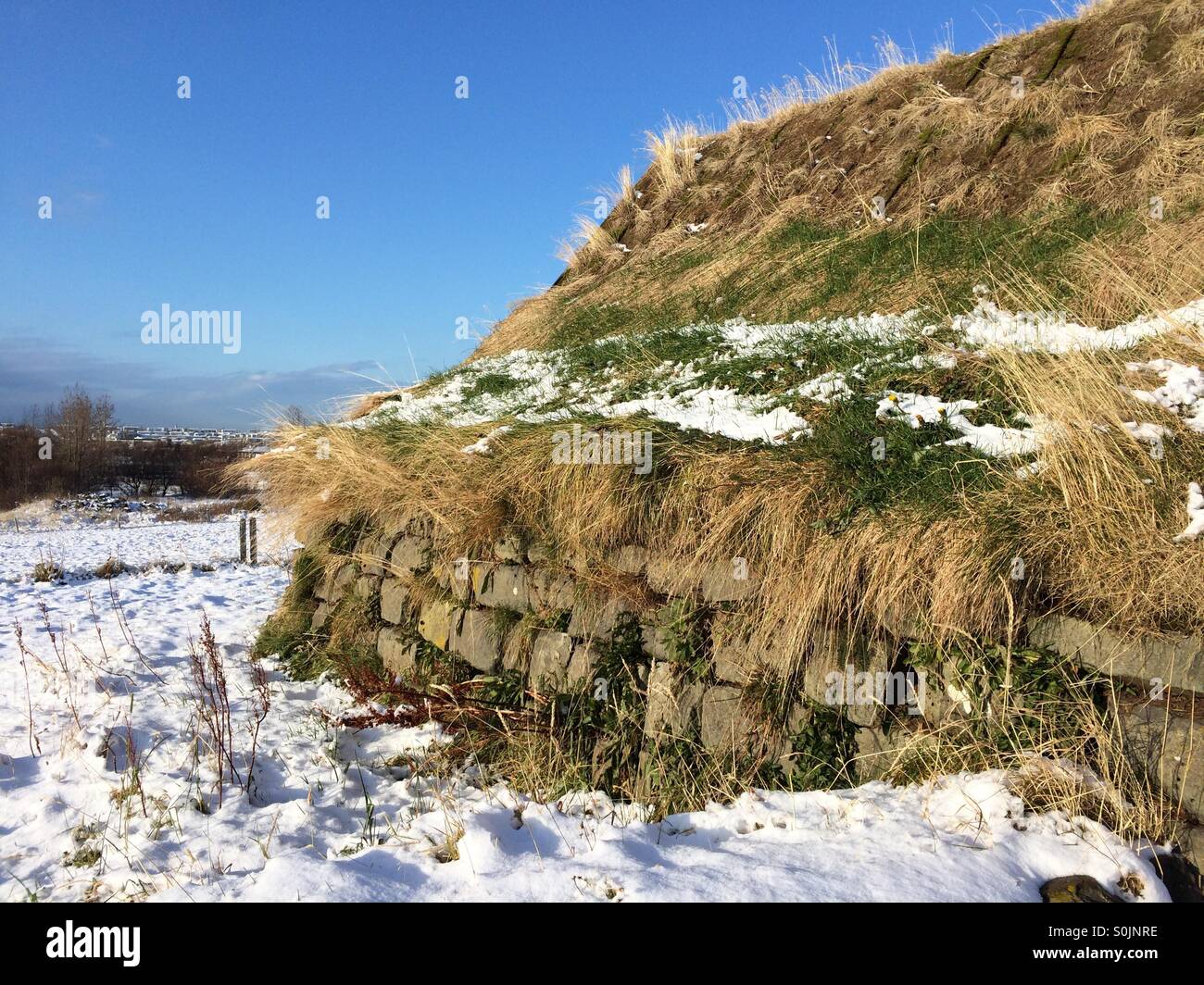 Island-Rasen gedeckten Haus im Schnee Stockfoto