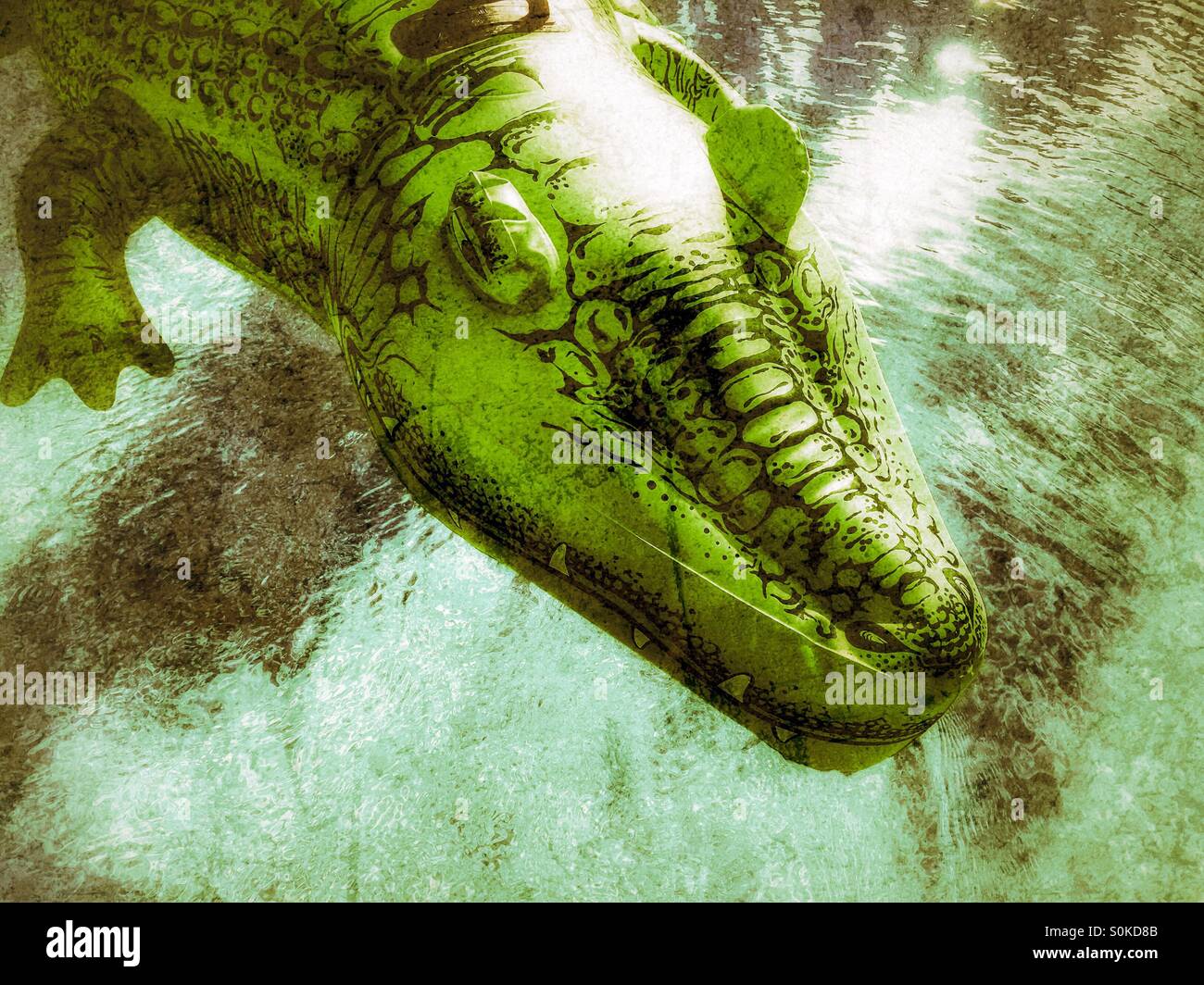 Grün aufblasbares Spielzeug Alligator schweben im Schwimmbadwasser. Grunge bearbeiten. Stockfoto