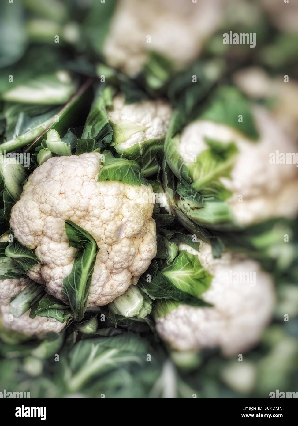 Frische Blumenkohl aus nächster Nähe - Smartphone-aufgenommenes Stockfoto