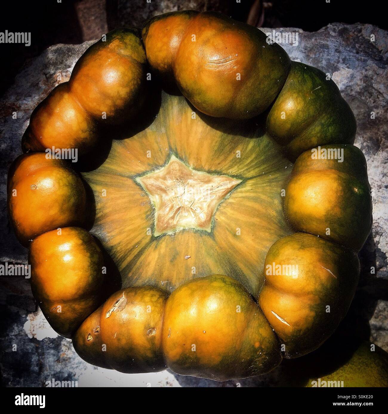 Ein Kürbis mit einem fünf-Spitzen Stern in der Mitte schmückt Hotel Hacienda Chichen in Chichen Itza, Piste, Tinum, Yucatan, Mexiko. Stockfoto