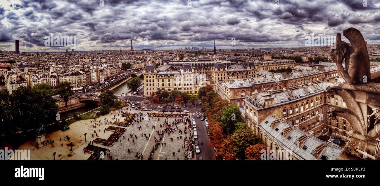 Paris-Skyline von Notre-Dame mit Wasserspeier im Vordergrund Stockfoto