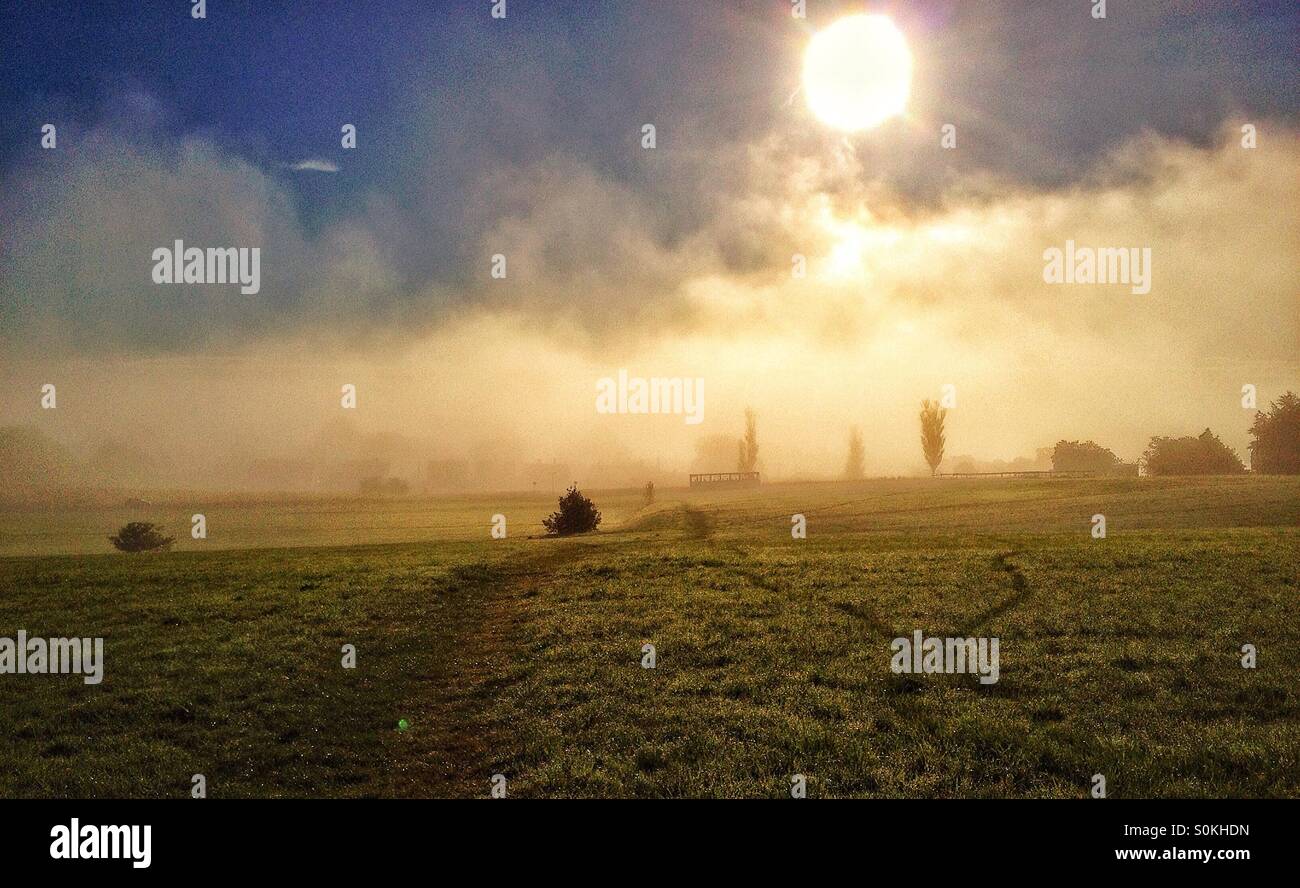Misty Morning Stockfoto