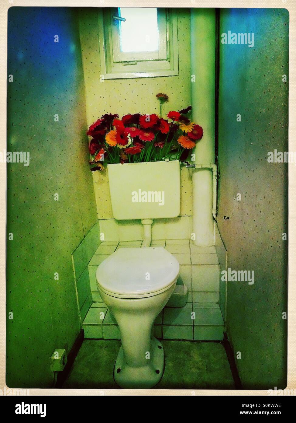 Lustige toilette -Fotos und -Bildmaterial in hoher Auflösung – Alamy