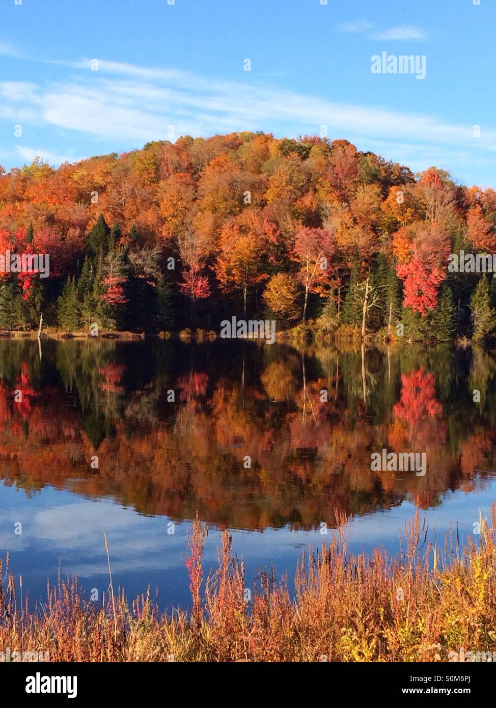 Reflexionen der Bäume im Herbst, Belvedere Lake, Stowe, Vermont, USA Stockfoto