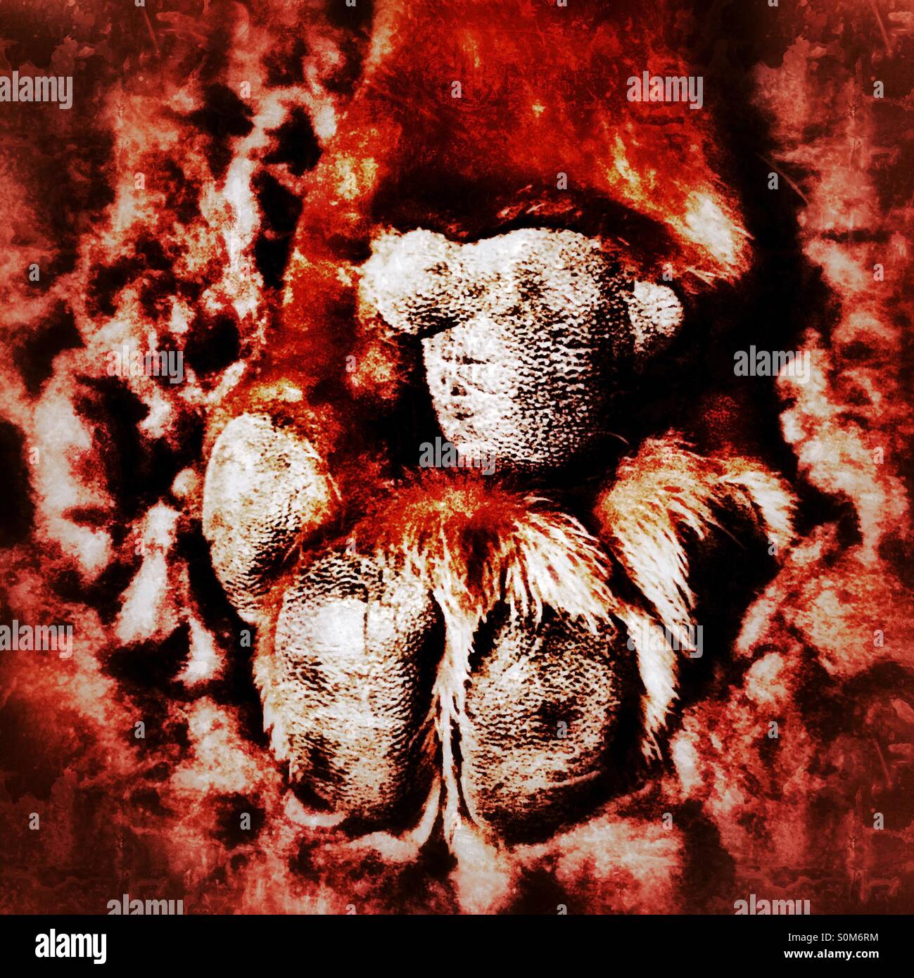 Nahaufnahme von der Pfote ein Zwergdackel - Smartphone-aufgenommenes Stockfoto