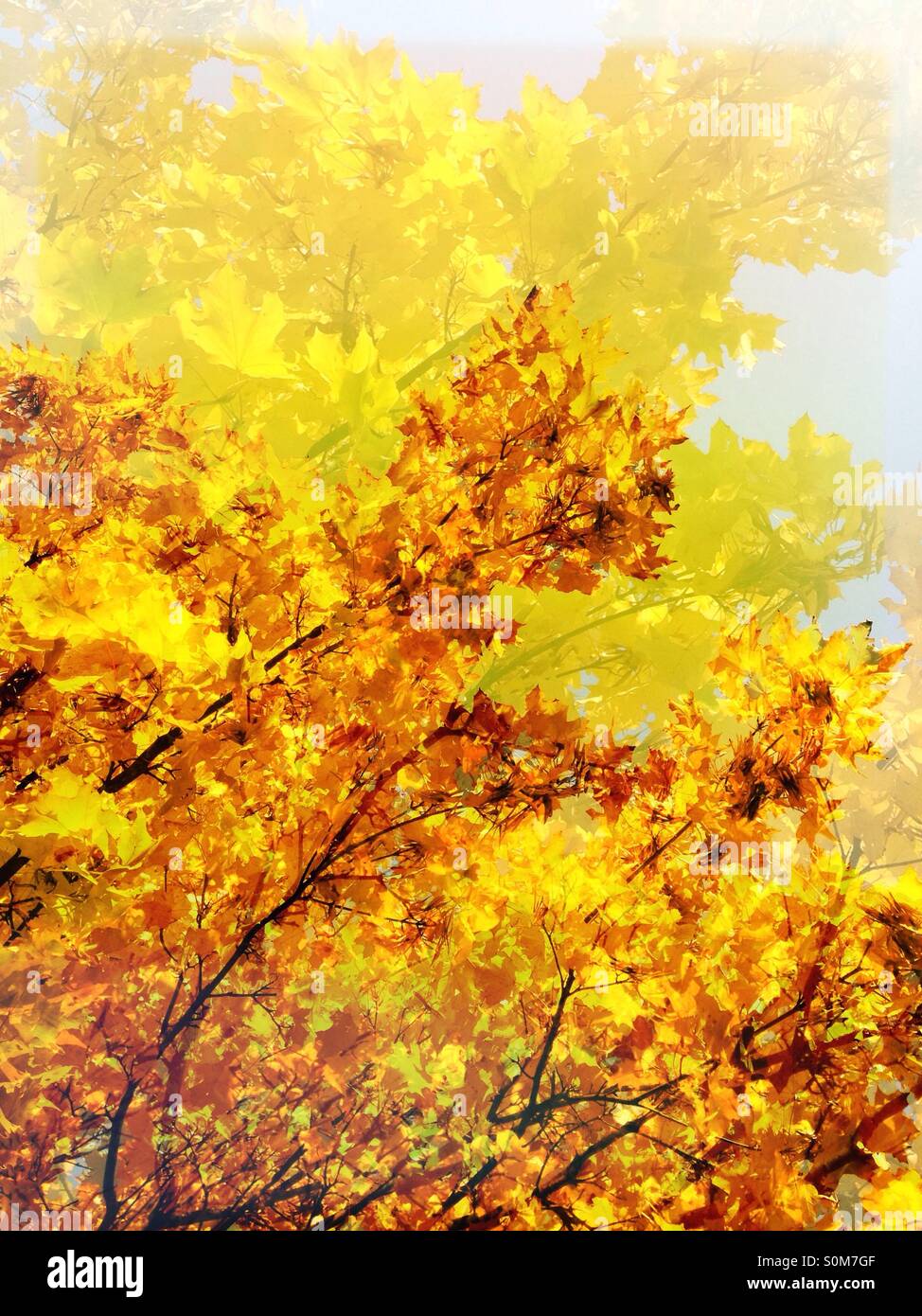 Herbst Stockfoto