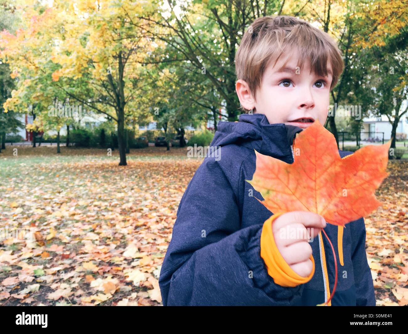 Kleiner Junge hält rot gefärbt Blatt im Herbst Stockfoto