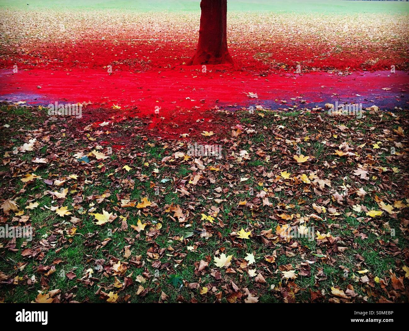 Anschluss an ein rotes Pulver Farbe Bombe. Stockfoto